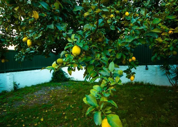 Poolemonhouse