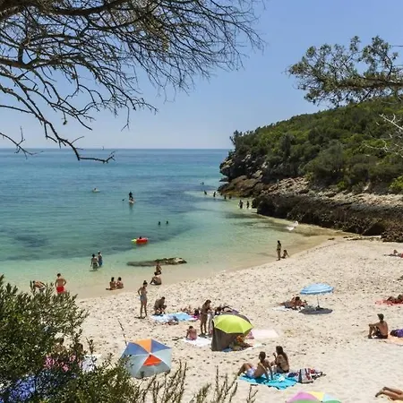 Poolemonhouse Daire *