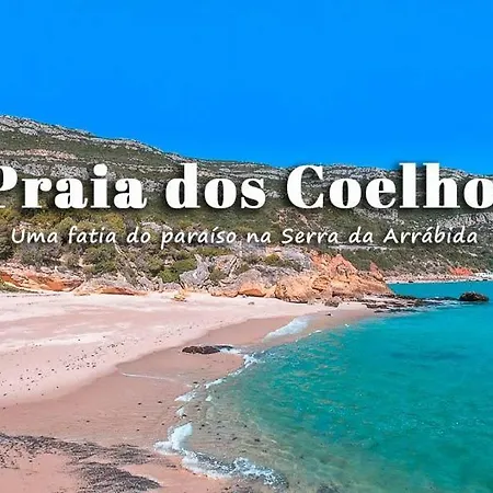 Poolemonhouse * Fernao Ferro