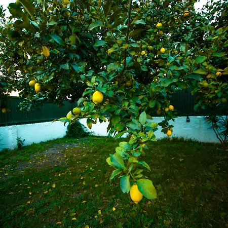 Poolemonhouse