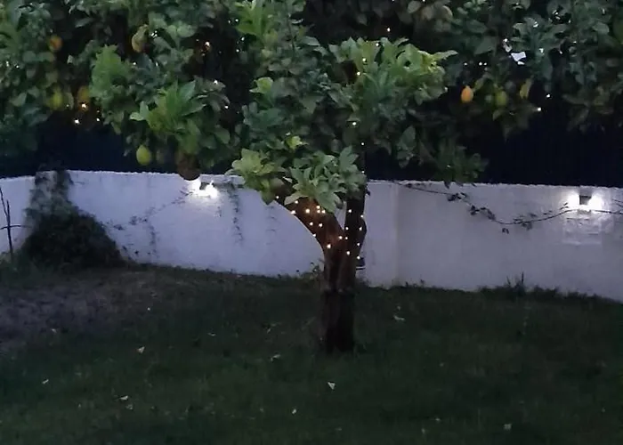 Apartment Poolemonhouse *