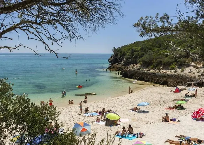 Poolemonhouse Apartment *