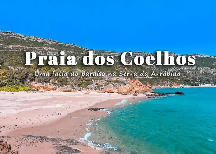 Poolemonhouse * Fernão Ferro