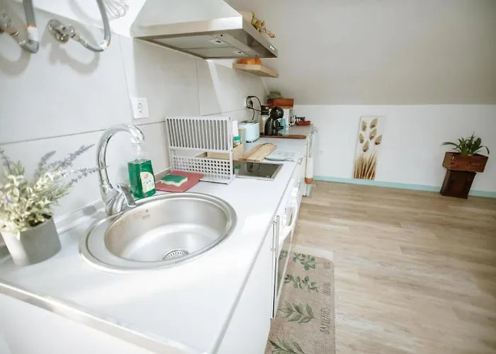 Poolemonhouse * Fernão Ferro